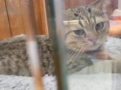 -龟与熊猫宠物公园(南坪店)