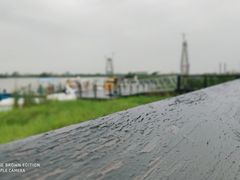 -芒洲湿地公园
