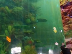 -青岛嘉年华主题乐园