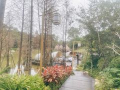 -美的鹭湖森林度假区