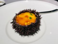 珊瑚海胆蒸蛋-徐记海鲜(汉城湖|太奥店)