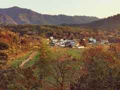 -塔川景区