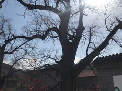 -康陵正德春饼宴26号