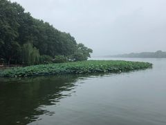 -西湖游船