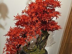 -四季厨房 鲁菜·孔府烤鸭(高新万达店)