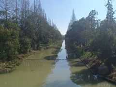 -上海长兴岛郊野公园