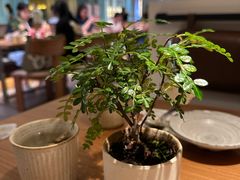 -CURRY YA 熟成咖哩專門店(深圳湾万象城店)