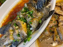 -金海湾海鲜排档(朱家尖店)