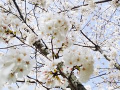 -永乐路-路侧停车场