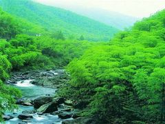 -山沟沟景区