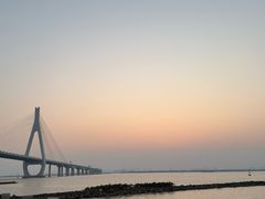 -芒洲湿地公园