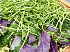 -一朵菌·野生菌探索家火锅(南亚店)