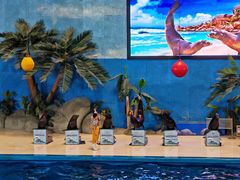 -泉城欧乐堡海洋极地世界