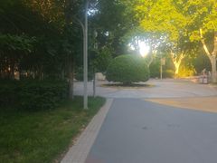 -郑州植物园