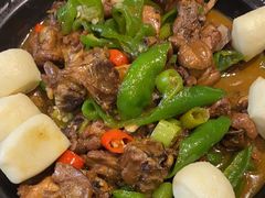 -邵年鸽(杨庄店)