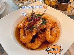 -the rug 飞毯 (朝阳公园店)