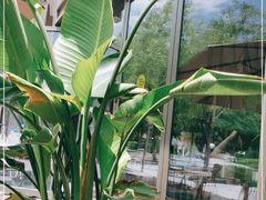 -The Rug Cafe(王府中环店)