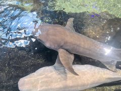 -鸿通城购物中心