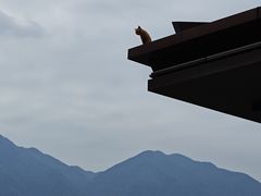 -庐山西海主景区