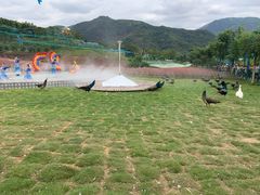 -瓷天下海丝谷