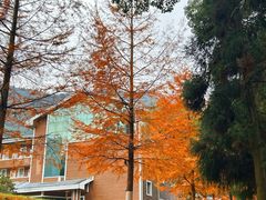 -福清灵石山国家森林公园