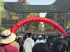 -溱湖国家湿地公园