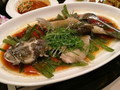 清蒸笋壳鱼-新南华大酒店(长寿店)