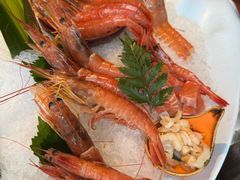 -Mr.Fish鱼鲜生海鲜放题(高德置地冬广场店)