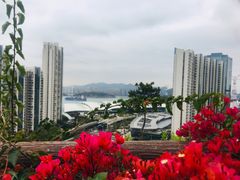 -狐尾山公园