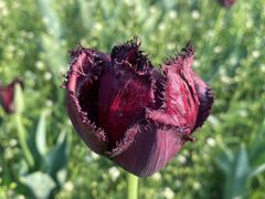 -长春公园(普阳街道)