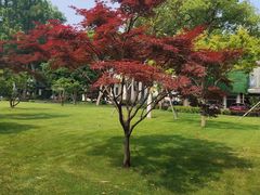 -杭州西湖柳莺里酒店·闻莺厅