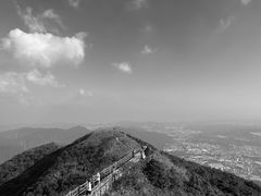 -银瓶嘴森林公园