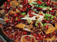 -老板恋上鱼(高新万达店)