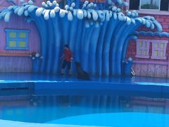 -华夏文旅海洋公园