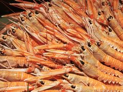 -樱之盛宴·蟹料理海鲜自助(前进大街店)