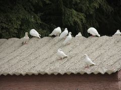 -南京金牛湖风景区