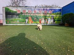 -宠物寄养训练学校