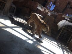 -鄂尔多斯野生动物园