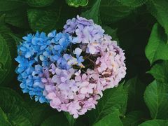 -陶然亭公园