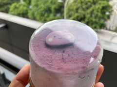 -GANSO  元祖食品(金渝大道店)