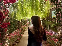 -正佳雨林生态植物园
