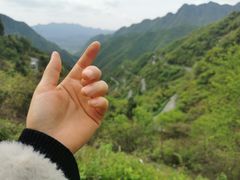 -老虎土菜馆·农家土菜