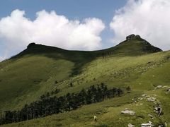 -秦岭风景区