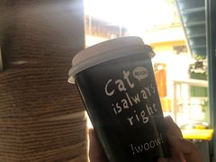 -喵屿·大理花园猫咖