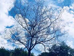 -阳澄湖中路(地铁站)