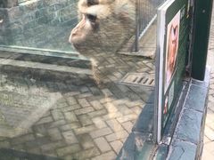 -无锡动物园·太湖欢乐园
