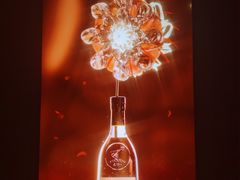 -精绝七日-新疆尼雅遗址数字大展【拉法耶文化艺术中心】