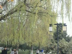 -西安交通大学(雁塔校区)