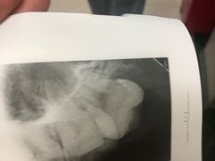 -上海市杨浦区牙病防治所