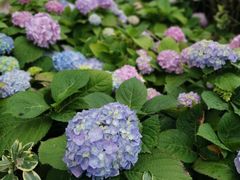 -苏州河梦清园环保主题公园